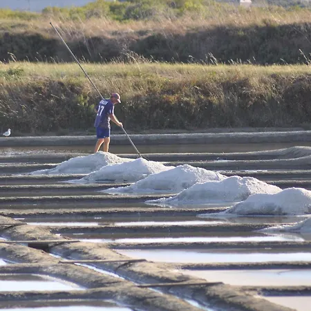Casa de Férias Avec Jardin à Guérande, Wifi Inclu - Fr-1-306-1293