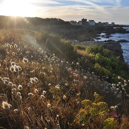 Avec Jardin à Guérande, Wifi Inclu - Fr-1-306-1293 Guérande