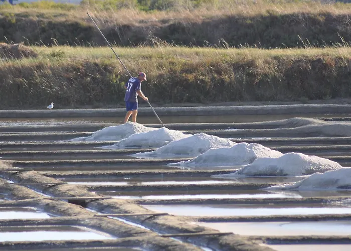 度假居 Avec Jardin A Guerande, Wifi Inclu - Fr-1-306-1293