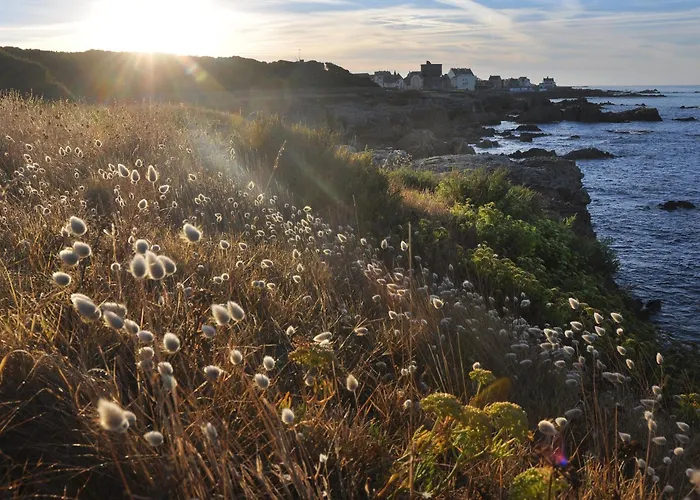 Avec Jardin A Guerande, Wifi Inclu - Fr-1-306-1293 盖朗德